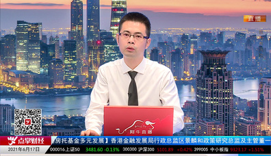 股票VIP2021-06-17