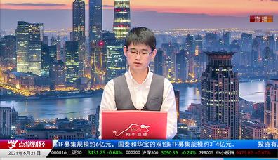 机构策略师2021-06-21