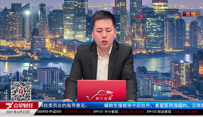 机构策略师2021-06-22