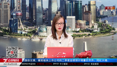 首席投顾2021-06-23