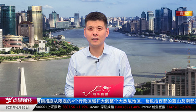 砖家周周谈2021-06-26