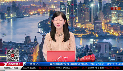 机构策略师2021-06-25