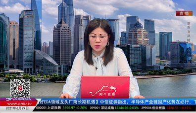 名家视点2021-06-29