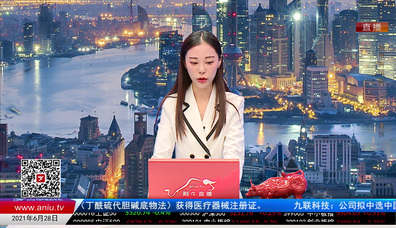 机构策略师2021-06-28