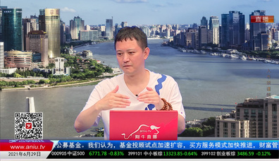 解码公司2021-06-29
