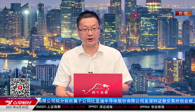机构策略师2021-06-30