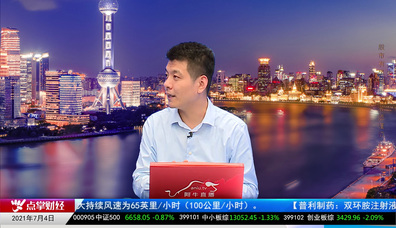 投顾当家2021-07-04