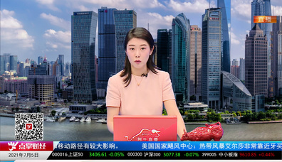 名家视点2021-07-05