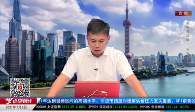 名家视点2021-07-06