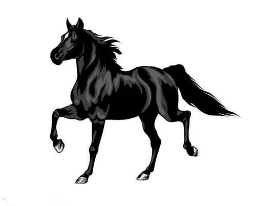 https://file2.aniu.tv/2021/07/06/a1a386fbeabf6c49ea02be124ce20ede.jpg