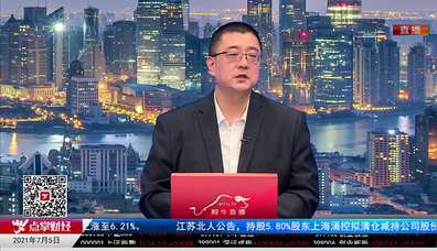 机构策略师2021-07-05