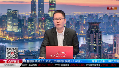 机构策略师2021-07-07