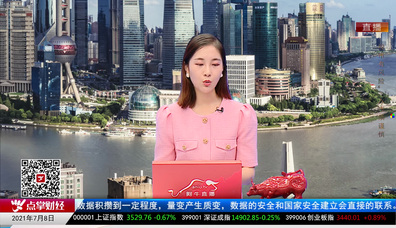 解码公司2021-07-08