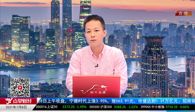 机构策略师2021-07-08
