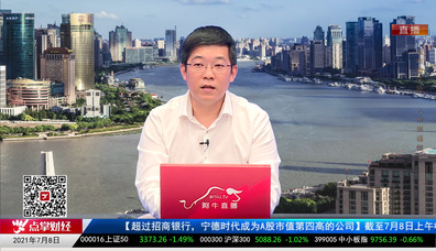 首席投顾2021-07-08