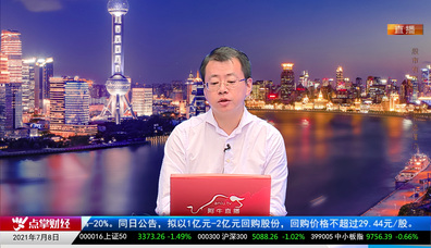 主题投资2021-07-08