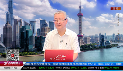 名家视点2021-07-09