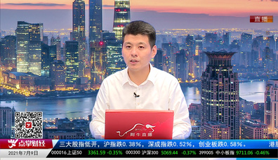 机构策略师2021-07-09