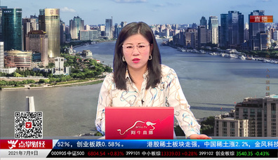 首席投顾2021-07-09