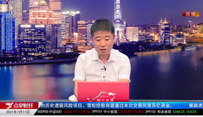 投顾当家2021-07-11