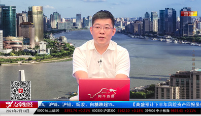 首席投顾2021-07-13