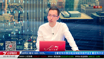 市场风向标2021-07-13
