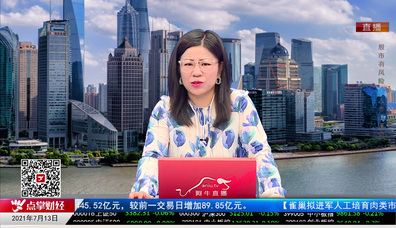 名家视点2021-07-13