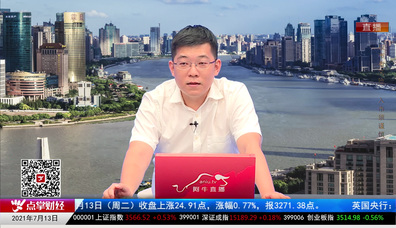 行业预测2021-07-13