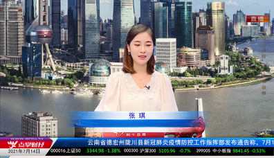 解码公司2021-07-14