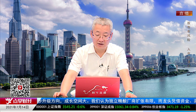 名家视点2021-07-14