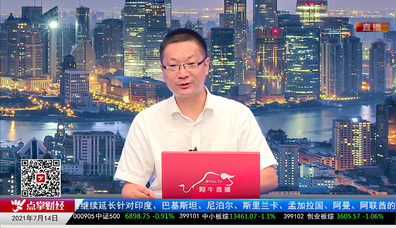 机构策略师2021-07-14
