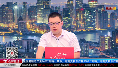 机构策略师2021-07-15