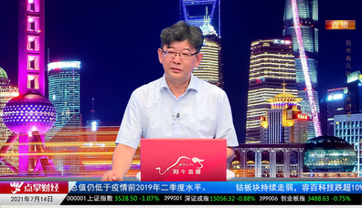 主题投资2021-07-14
