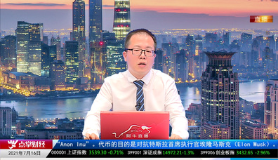机构策略师2021-07-16