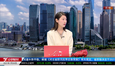 名家视点2021-07-20