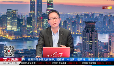 机构策略师2021-07-21