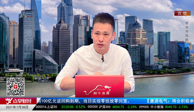 机构看股2021-07-28