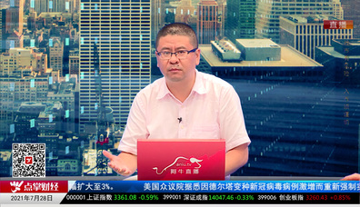股市诊疗2021-07-28