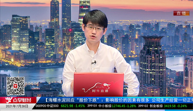 股票VIP2021-07-28
