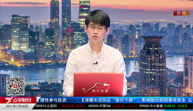 机构策略师2021-07-28