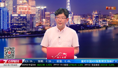 主题投资2021-07-28