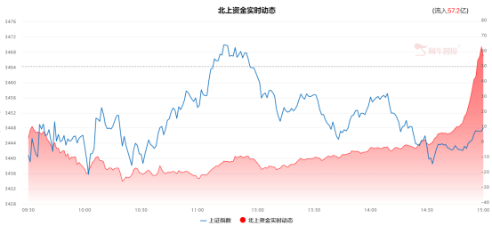 高位热门板块集体大跌 机会还是风险？