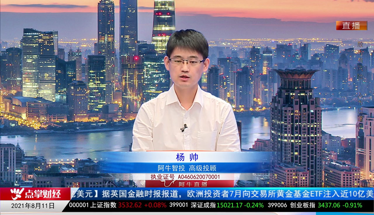 机构策略师2021-08-11