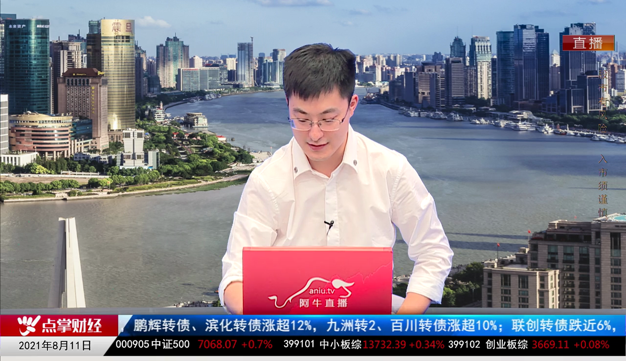 解码公司2021-08-11