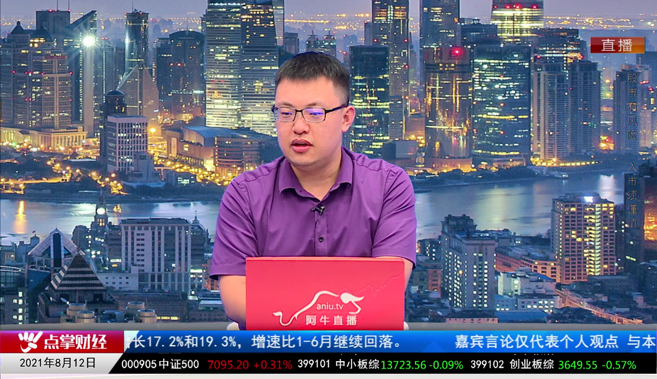 机构策略师2021-08-12