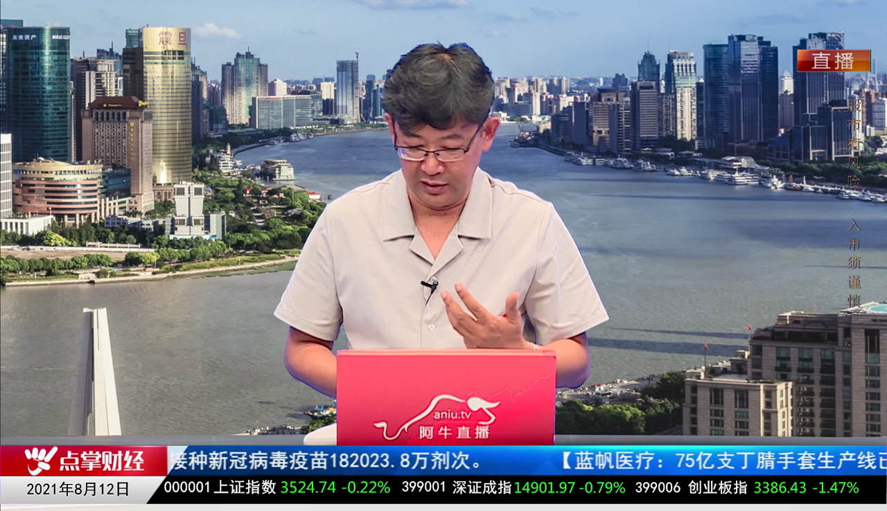 首席投顾2021-08-12
