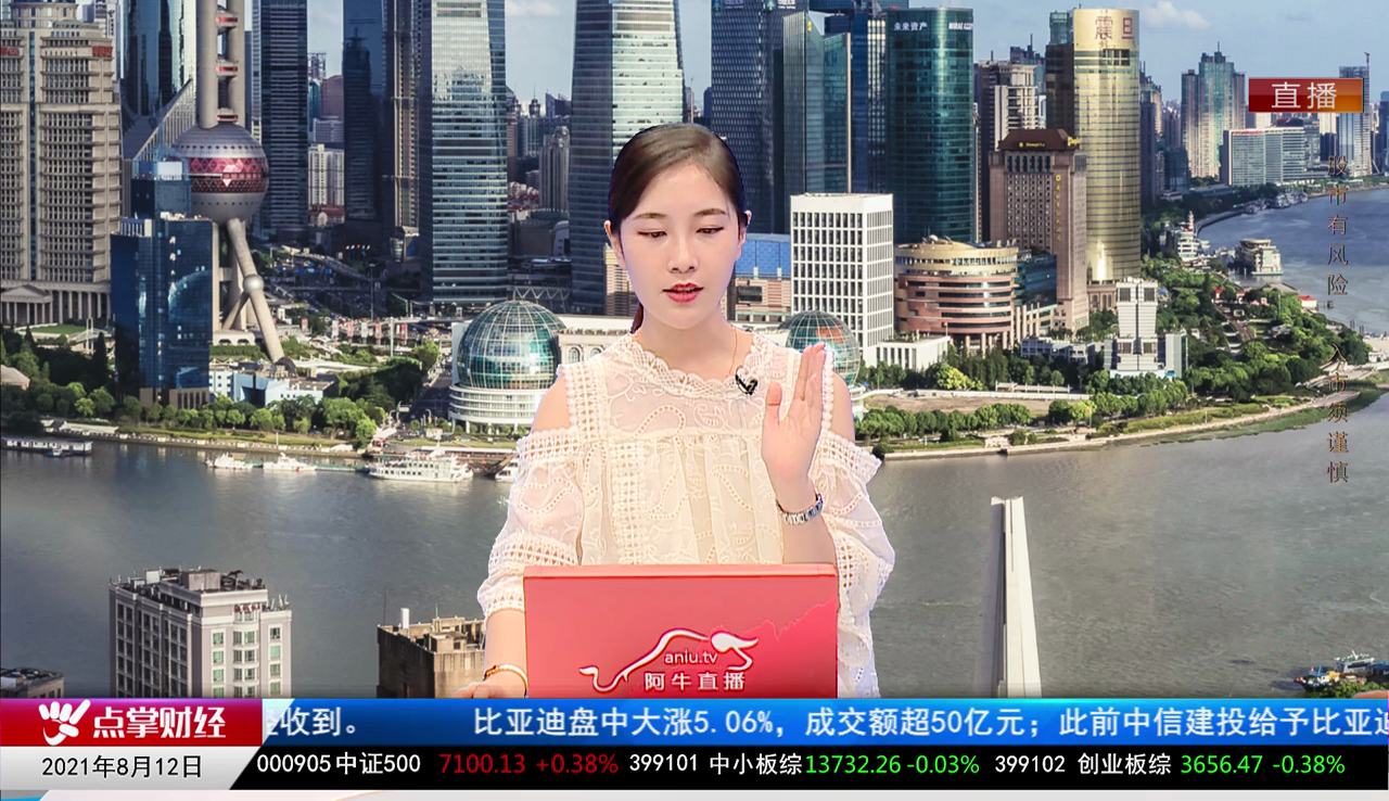 解码公司2021-08-12