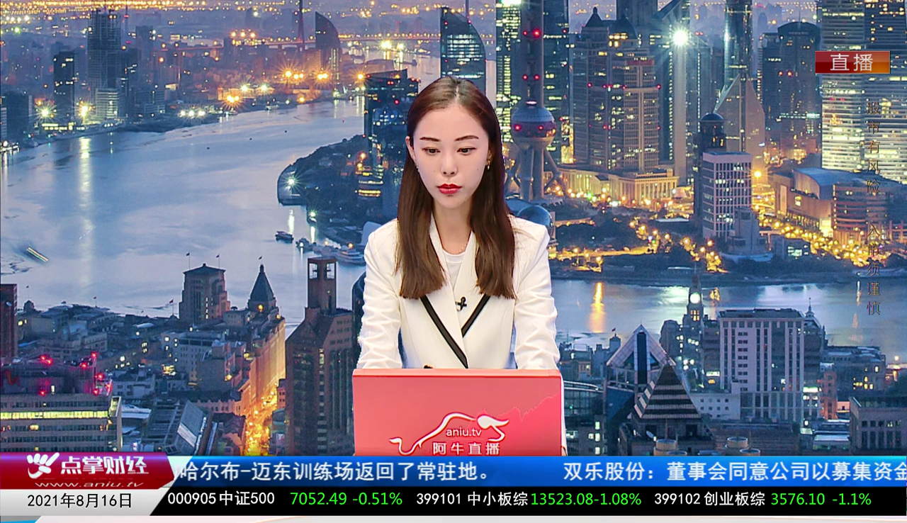 机构策略师2021-08-16