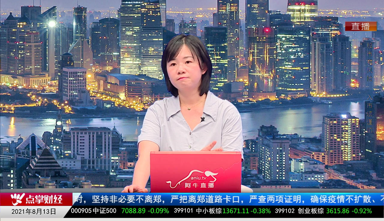 机构策略师2021-08-13