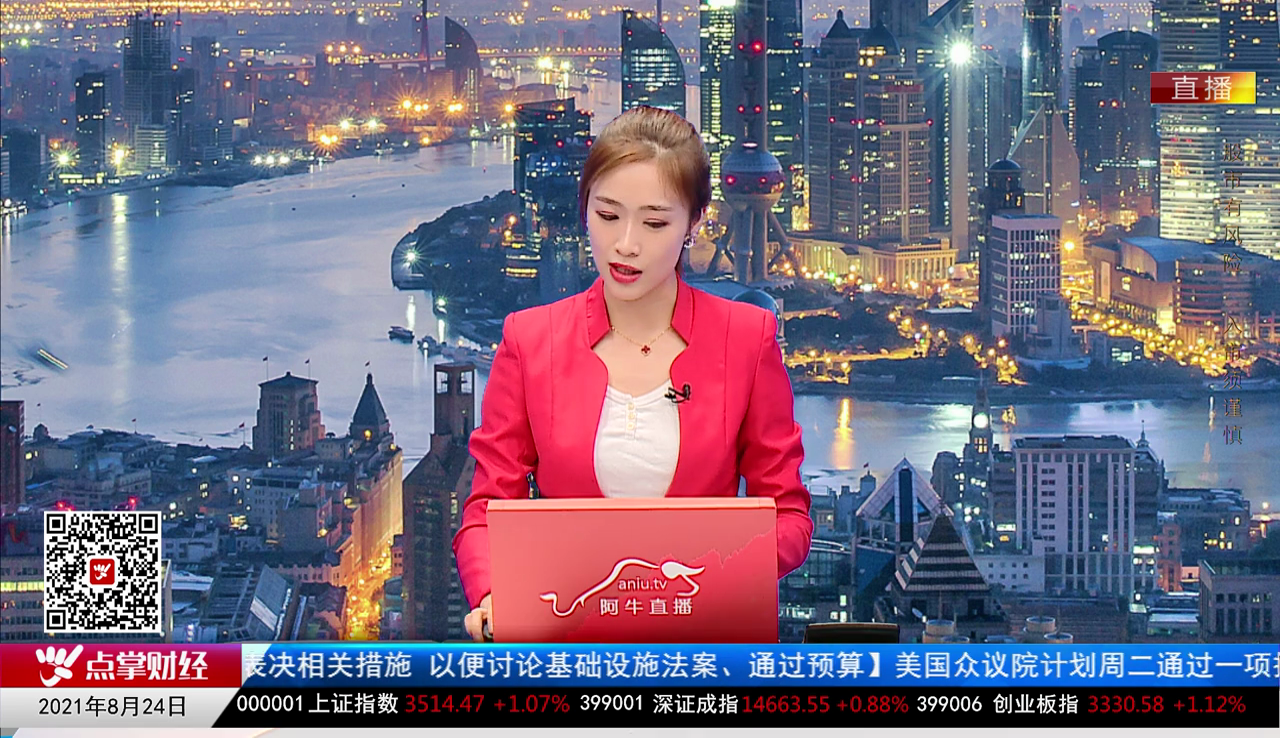 机构策略师2021-08-24